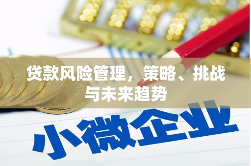 金宁贷款风险管理，策略、挑战与未来趋势