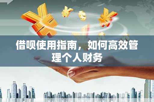 金宁借呗使用指南，如何高效管理个人财务