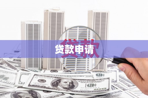 金宁贷款申请
