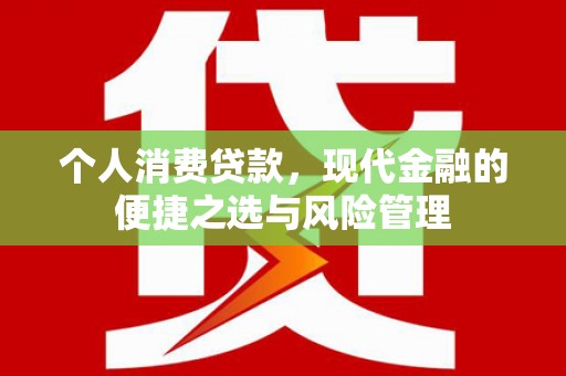 金宁个人消费贷款，现代金融的便捷之选与风险管理
