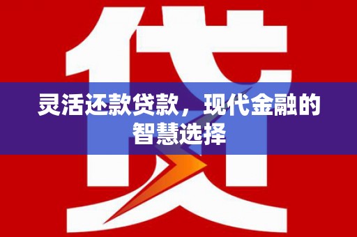 金宁灵活还款贷款，现代金融的智慧选择