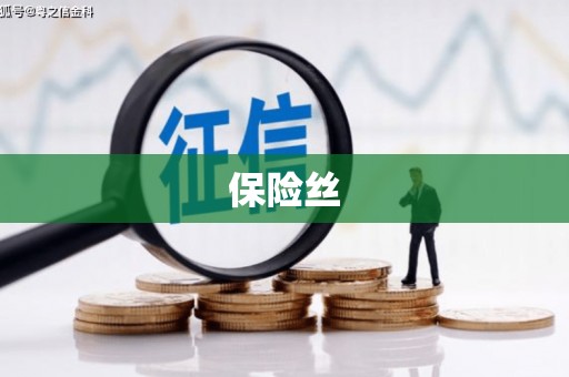 金宁保险丝