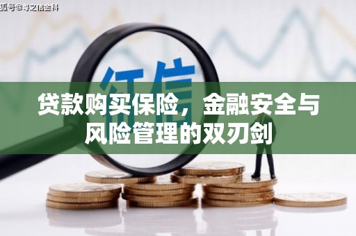 金宁贷款购买保险，金融安全与风险管理的双刃剑