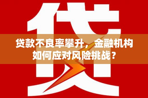 金宁贷款不良率攀升，金融机构如何应对风险挑战？