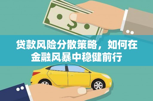 金宁贷款风险分散策略，如何在金融风暴中稳健前行