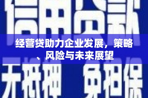 金宁经营贷助力企业发展，策略、风险与未来展望