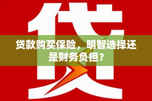 金宁贷款购买保险，明智选择还是财务负担？
