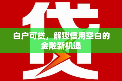 金宁白户可贷，解锁信用空白的金融新机遇