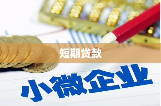 金宁短期贷款