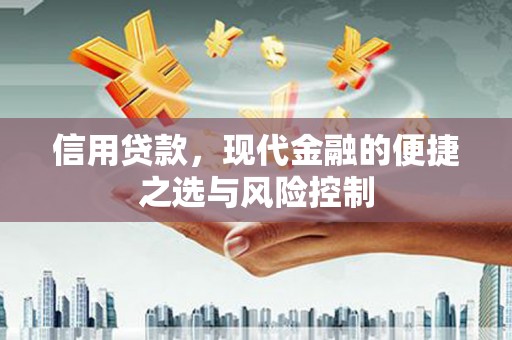 金宁信用贷款，现代金融的便捷之选与风险控制