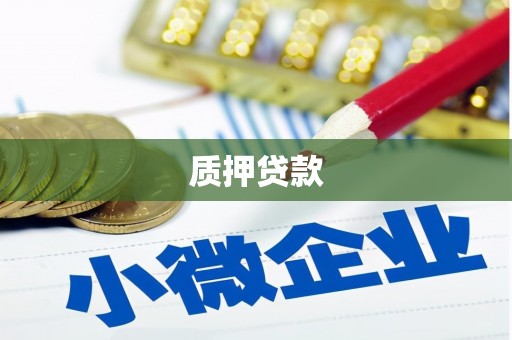 金宁质押贷款