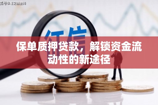 金宁保单质押贷款，解锁资金流动性的新途径