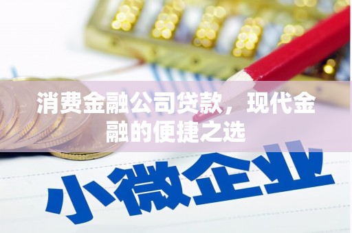 金宁消费金融公司贷款，现代金融的便捷之选