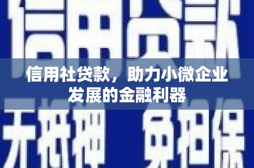 金宁信用社贷款，助力小微企业发展的金融利器