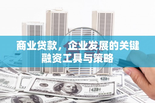 金宁商业贷款，企业发展的关键融资工具与策略