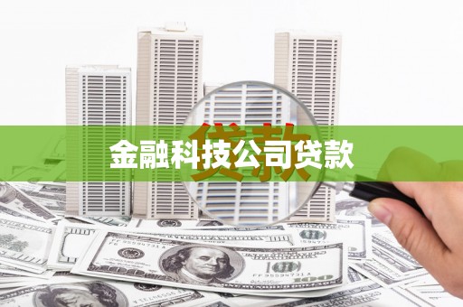金宁金融科技公司贷款