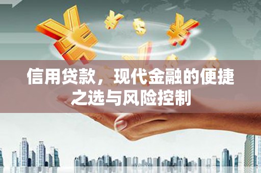金宁信用贷款，现代金融的便捷之选与风险控制