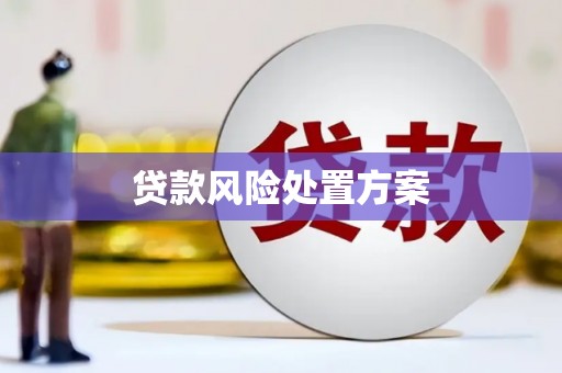 金宁贷款风险处置方案