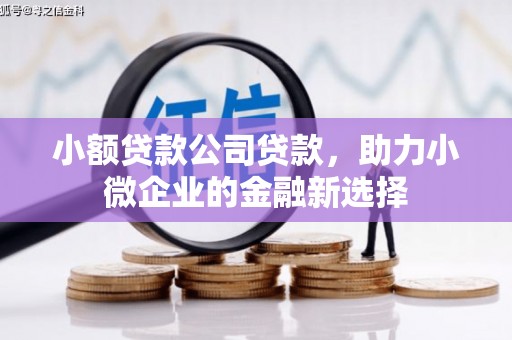 金宁小额贷款公司贷款，助力小微企业的金融新选择