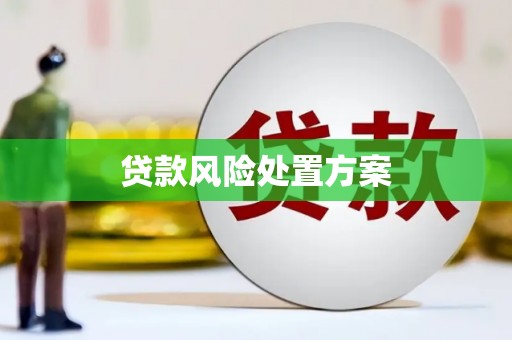 金宁贷款风险处置方案