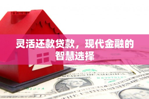 金宁灵活还款贷款，现代金融的智慧选择