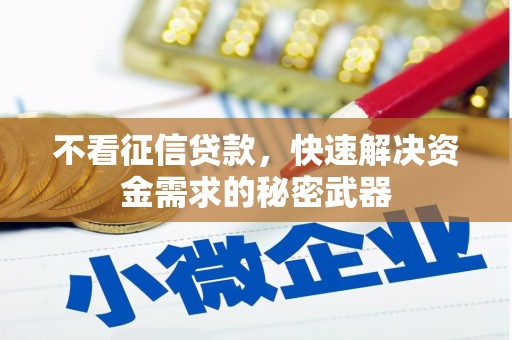 金宁不看征信贷款，快速解决资金需求的秘密武器