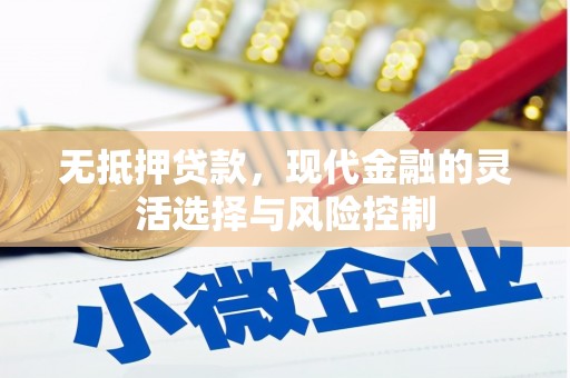 金宁无抵押贷款，现代金融的灵活选择与风险控制