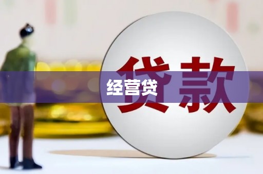 金宁经营贷