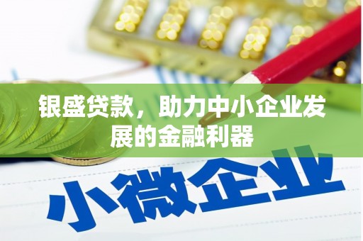 金宁银盛贷款，助力中小企业发展的金融利器
