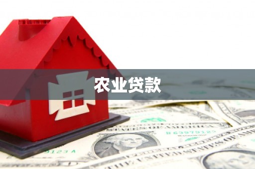 金宁农业贷款