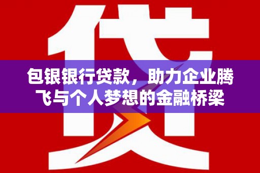 金宁包银银行贷款，助力企业腾飞与个人梦想的金融桥梁