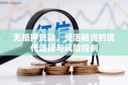金宁无抵押贷款，灵活融资的现代选择与风险控制