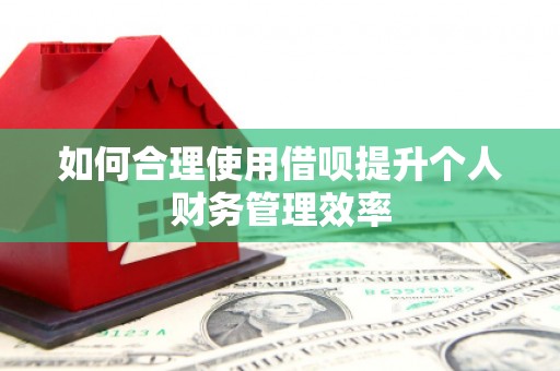金宁如何合理使用借呗提升个人财务管理效率