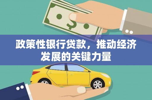 金宁政策性银行贷款，推动经济发展的关键力量