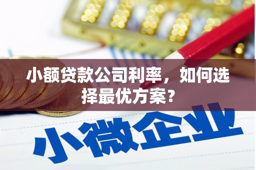 金宁小额贷款公司利率，如何选择最优方案？