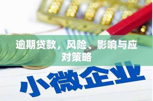 金宁逾期贷款，风险、影响与应对策略