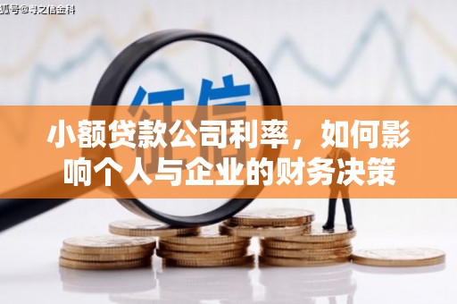 金宁小额贷款公司利率，如何影响个人与企业的财务决策