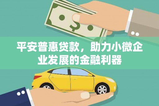 金宁平安普惠贷款，助力小微企业发展的金融利器