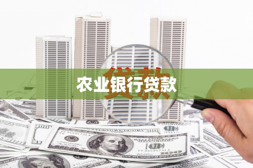 金宁农业银行贷款