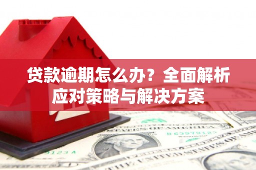金宁贷款逾期怎么办？全面解析应对策略与解决方案