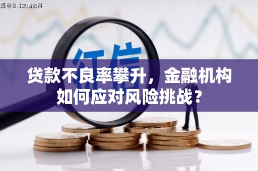 金宁贷款不良率攀升，金融机构如何应对风险挑战？
