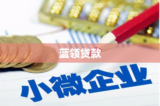 金宁蓝领贷款