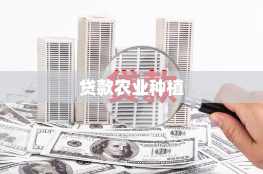 金宁贷款农业种植