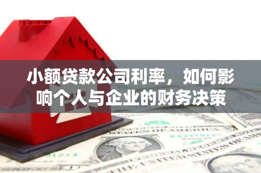 金宁小额贷款公司利率，如何影响个人与企业的财务决策