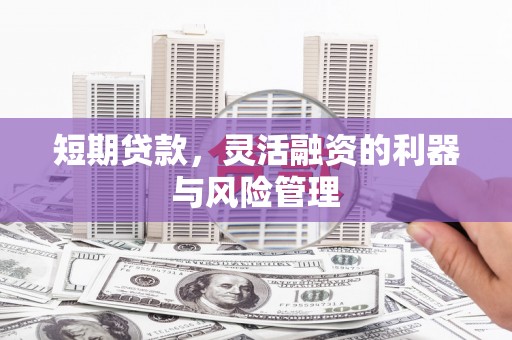 金宁短期贷款，灵活融资的利器与风险管理