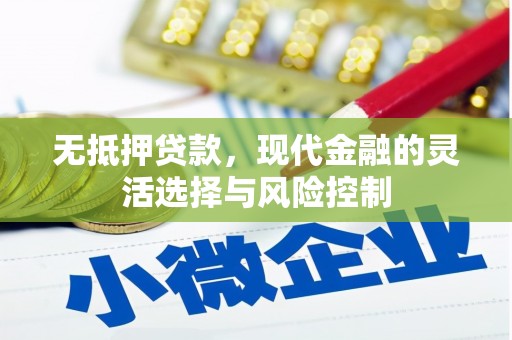 金宁无抵押贷款，现代金融的灵活选择与风险控制