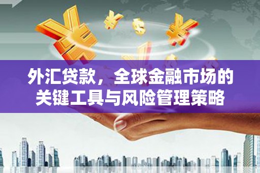金宁外汇贷款，全球金融市场的关键工具与风险管理策略