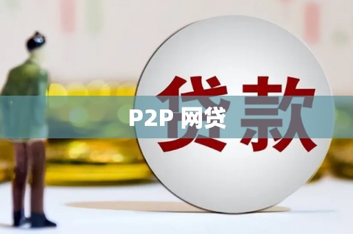 金宁P2P 网贷