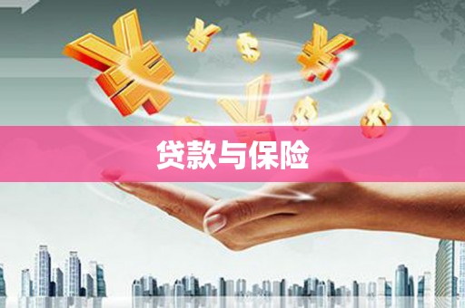 金宁贷款与保险