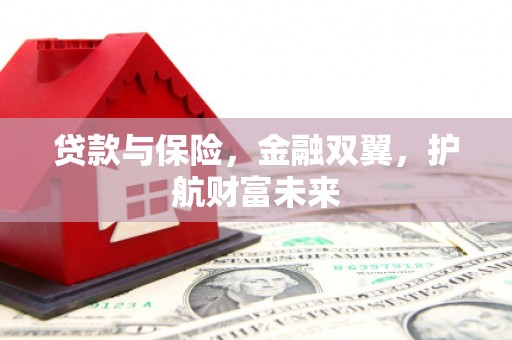 金宁贷款与保险，金融双翼，护航财富未来
